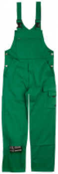 Basic Latzhose grün von BP